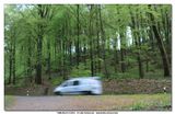 MULLERTHAL_2016-05-03_101.jpg