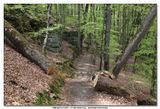 MULLERTHAL_2016-05-03_110.jpg