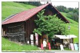 KWT-FT_2016-06-04_273.jpg