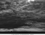 image 175087803