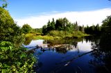 Marais du nord 