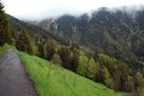 Petit chemin  flanc de montagne 