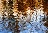 reflets du moment