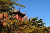 Jardin chinois, jardin botanique de Montral