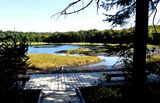 Lac Boivin, aire de contemplation 
