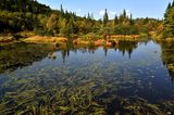  Marais du nord, direction Lac Delage