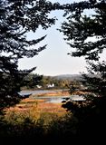 Un trou dans la fort,  Marais du nord 