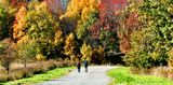 Promenade vers lautomne