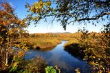Les mandres de la rivire Montmorency