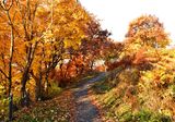 sentier des Gd Domaines de Sillery 