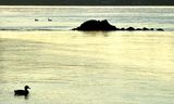 Plage Jacques Cartier