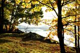 Plage Jacques Cartier