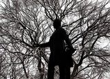Lhomme-arbre