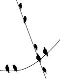 Birds, Hitchcock was here