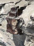 Vestiges sous la Terrasse Dufferin