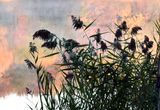 Base plein air Ste-Foy