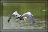_MTK0629-Edit.jpg