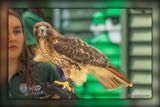 _MTK0777-Edit.jpg