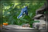 _MTK1205-Edit.jpg