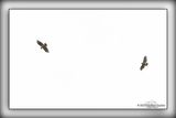 _MTK7907-Edit.jpg