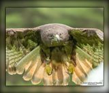 _MTK9561-Edit.jpg