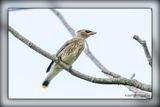 _MTK3132-Edit.jpg