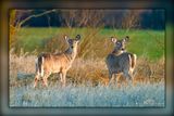 _MTK0372-Edit.jpg