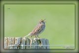 _MTK0989-Edit.jpg