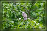 _MTK3740-Edit.jpg
