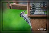_MTK7396-Edit.jpg