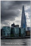 Angleterre_England 27