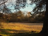 PC310084-3.jpg