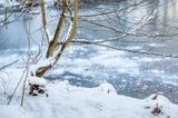 DSC_2301-001.jpg