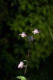 DSC_3627-001.jpg