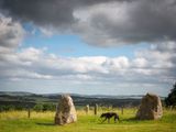 1st July 2023 <br> hound at the stones