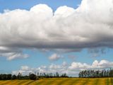 P8110022-2-001.jpg