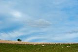 DSC_4979-001.jpg
