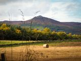 9th October 2023 <br> Benachie