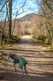 1st March 2024 <br> spring walk