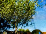 11th May 2024 <br> trampoline