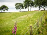 30th June 2024 <br> walk up the hill