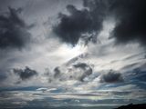 P7120239-2-001.jpg