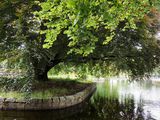 1st August 2024 <br> in the park