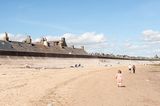 DSC_8761-001.jpg