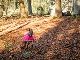 17th November 2024 <br> Crichie