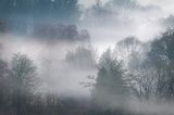 27th December 2024 <br> misty