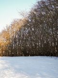 P1090121-2-001.jpg