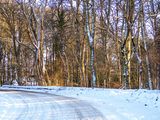 P1090113-2-001.jpg