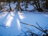 9th January 2025 <br> frozen pond