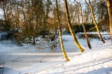 DSC_2441-001.jpg